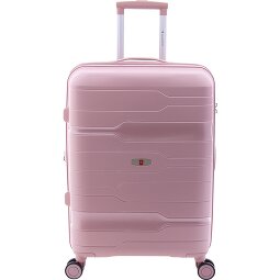 Gladiator 3800 4 ruedas Carrito 67 cm con pliegue de expansión  Modelo 6