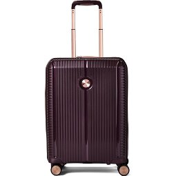 Polestream Paris 4 ruedas Carro de la cabina 55 cm con pliegue de expansión  Modelo 1