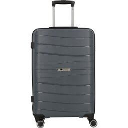Cocoono Leon 4 ruedas Carrito 66 cm  Modelo 1