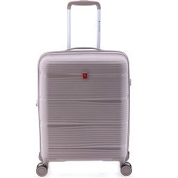 Gladiator 0800 4 ruedas Carrito 55 cm con pliegue de expansión  Modelo 1