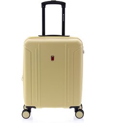 Gladiator 2900 4 ruedas Carro de la cabina 55 cm  Modelo 3