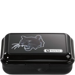 Step by Step Fiambrera 18 cm  Modelo 6
