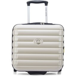 Delsey Paris Trolley de negocios Shadow 5.0 de 4 ruedas Compartimento para portátil de 38 cm con pliegue de expansión  Modelo 1