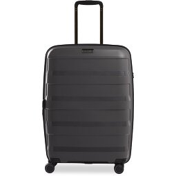 Stratic Paja + Carro de 4 ruedas 65 cm  Modelo 3