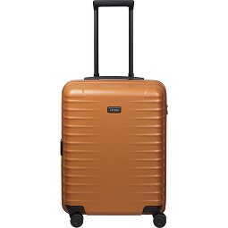 Titan Upgrade 4 ruedas Carro de la cabina S 55 cm  Modelo 1