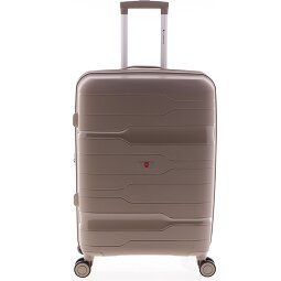 Gladiator 3800 4 ruedas Carrito 67 cm con pliegue de expansión  Modelo 1