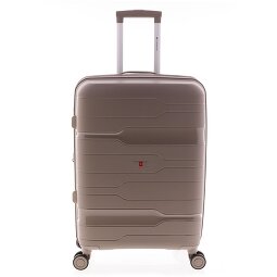 Gladiator 3800 4 ruedas Carrito 67 cm con pliegue de expansión  Modelo 1