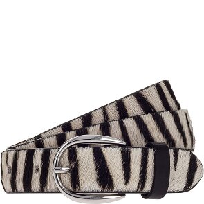 Vanzetti Cinturón Piel