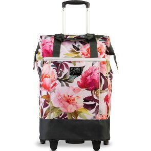 Punta Big Wheel Carro de la compra 62 cm