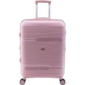 Gladiator 3800 4 ruedas Carrito 67 cm con pliegue de expansión