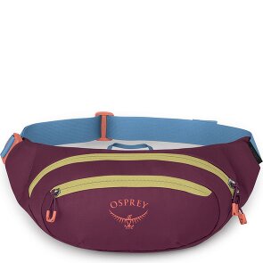 Osprey Riñonera Daylite 45 cm