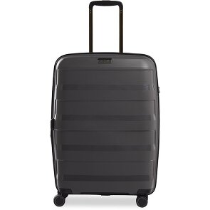 Stratic Paja + Carro de 4 ruedas 65 cm