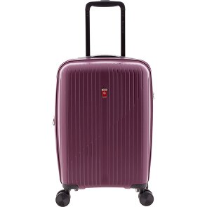 Gladiator 5000 4 ruedas Carro de la cabina 55 cm con pliegue de expansión