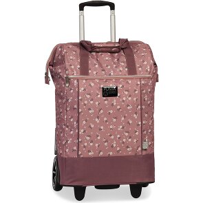 Punta Big Wheel Carro de la compra 62 cm
