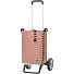  Alu Star Shopper Silja Carro de la compra 65 cm Modelo terra pink