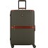  Story Viaggio Trunks 4 ruedas Trolley 70 cm Modelo foresta
