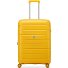  Starlight 3.0 4 ruedas Carrito 66 cm con pliegue de expansión Modelo honey