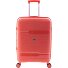  3800 4 ruedas Carrito 67 cm con pliegue de expansión Modelo coral