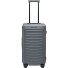  Carretilla de 4 ruedas dobles Roadster 65 cm Modelo anthracite