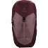  AC Lite 22 SL Mochila de senderismo 30 cm Modelo ashrose-cassis
