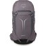  Sportlite 30 Mochila de senderismo 60 cm Modelo graphite purple