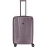  X-Ray Carro de 4 ruedas 72 cm Modelo taupe