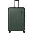  Dynamiic 4 ruedas Carrito XL 81 cm Modelo grün