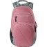  Stash 29 Mochila escolar 49 cm Modelo woodrose