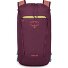  Daylite 0 Mochila de día 41 cm Modelo moody burgundy