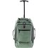  3900 2 ruedas Carrito de mochila 40 cm Compartimento para el portátil Modelo green
