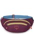  Riñonera Daylite 45 cm Modelo moody burgundy