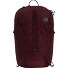  Borealis Mochila de senderismo 48 cm Modelo deep burgundy