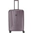  X-Ray Carro de 4 ruedas 77 cm Modelo taupe