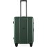  Carro de 4 ruedas Pop 6.0 65 cm Modelo gardengreen