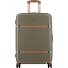  Cassis Riviera ECO 4 ruedas Carrito 65 cm Modelo bark
