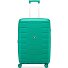  Skyline 2.0 4 ruedas Carrito 46.5 cm con pliegue de expansión Modelo menta