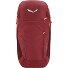 Mochila Alp Trainer 20L 55 cm Modelo syrah