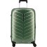  Attrix 4 ruedas Carrito 69 cm Modelo basil green