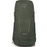  Kestrel 68 Mochila de trekking S-M 82 cm Modelo bonsai green