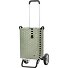  Alu Star Shopper Silja Carro de la compra 65 cm Modelo sage green