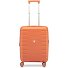  Skyline 2.0 4 ruedas Carro de la cabina 55 cm con pliegue de expansión Modelo mango