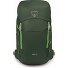  Jet 28 Mochila de senderismo 55 cm Modelo green canopy-limeline green