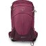  Mochila Sirrus 24 w 49 cm Modelo elderberry purple-chiru tan