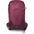  Mochila Sirrus 24 w 49 cm Modelo elderberry purple-chiru tan